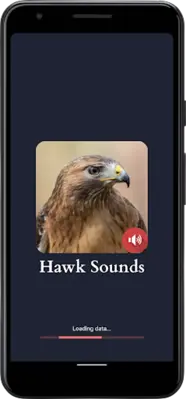 Hawk Sounds android App screenshot 0