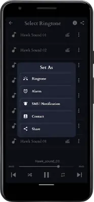 Hawk Sounds android App screenshot 1