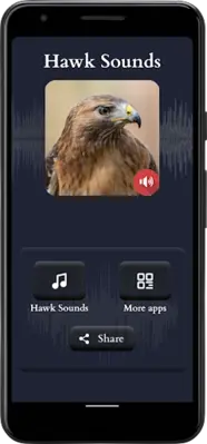 Hawk Sounds android App screenshot 3